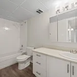 Rent 1 bedroom apartment in Windsor, ON