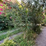 2-room flat corso Vittorio Veneto 70, Osio Sotto