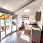 Rent 1 bedroom apartment of 40 m² in Pilsen