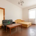 Pronajměte si 5 ložnic/e byt o rozloze 134 m² v Prague