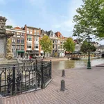 Rent 2 bedroom apartment of 54 m² in Pieterswijk