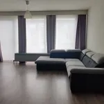 Rent 2 bedroom apartment in Zwijndrecht