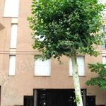 Rent 1 bedroom apartment of 22 m² in Toulouse