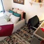 Rent 1 bedroom apartment in Chicago