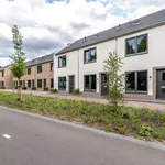 Rent 3 bedroom apartment in Apeldoorn