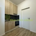 Rent 2 bedroom apartment in Vsetín