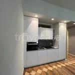 Rent 2 bedroom apartment of 55 m² in Bergamo