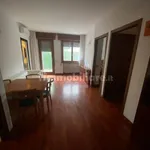 Rent 3 bedroom apartment of 100 m² in Rovigo