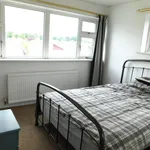 Rent 3 bedroom house in East Of England