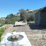 Rent 1 bedroom house of 50 m² in Arzachena