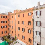 Rent 1 bedroom apartment in Rome