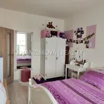 Rent 2 bedroom apartment of 44 m² in České Budějovice