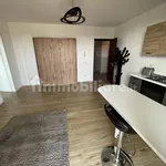 Rent 1 bedroom apartment of 40 m² in Sesto Calende