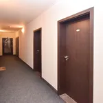 Rent 1 bedroom apartment of 37 m² in Sázava