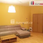 Rent 1 bedroom apartment of 45 m² in Praha