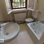 Rent 4 bedroom apartment of 100 m² in Bologna