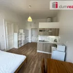 Rent 1 bedroom apartment in Capital City of Prague