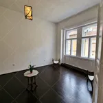 Rent 4 bedroom apartment of 136 m² in Budapest