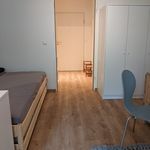 Rent 1 bedroom apartment of 30 m² in Dresden