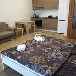 Rent 1 bedroom house in Český Krumlov