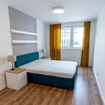 Rent 4 bedroom apartment of 76 m² in Katowice