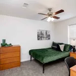 Rent 1 bedroom apartment in Denton