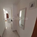 Rent 2 bedroom apartment of 38 m² in Palestrina