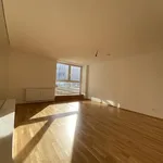 Rent 1 bedroom apartment in Wien