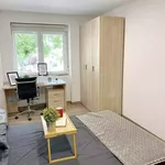 Rent 7 bedroom apartment in Madrid