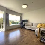 Rent 1 bedroom apartment in Devonport-Takapuna