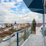 Rent 2 bedroom apartment of 80 m² in Plzeň