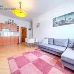 Rent 2 bedroom apartment in Praha 2