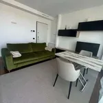 Rent 2 bedroom apartment of 61 m² in Milan