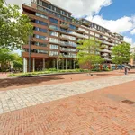 Rent 3 bedroom apartment of 97 m² in Rotterdam