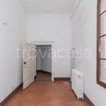 Rent 4 bedroom apartment of 103 m² in Siena