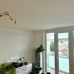 Rent 1 bedroom apartment of 38 m² in Plzeň