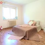 Rent 4 bedroom apartment of 80 m² in Vyškov