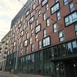 Rent 1 bedroom flat in Sheffield