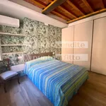 Rent 3 bedroom apartment of 80 m² in Lucca