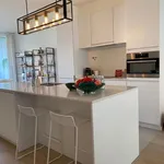 Rent 2 bedroom apartment in Avelgem