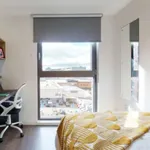 Rent 6 bedroom flat in Glasgow