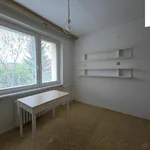 Rent 1 bedroom apartment in Jihlava