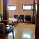 Rent 4 bedroom house of 240 m² in Egina