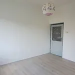 Rent 3 bedroom apartment of 63 m² in Písek