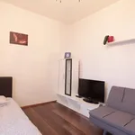 Pronajměte si 1 ložnic/e byt o rozloze 25 m² v Prague