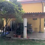 Casa Indipendente in affitto a Vigevano a 13 km da vigevano - a 8 km da mortara, non arredato/vuoto, giardino privato, riscaldamento autonomo - TrovaCasa