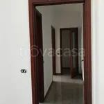 Rent 3 bedroom apartment of 110 m² in Milano