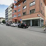 Rent 3 bedroom apartment of 70 m² in Zürich