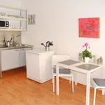 Rent 1 bedroom apartment of 31 m² in Dusseldorf