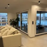 Rent 3 bedroom apartment of 159 m² in Enschede